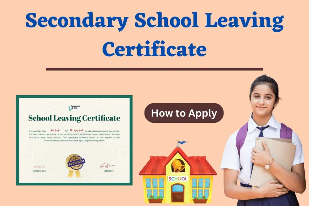 Secondary School Leaving Certificate